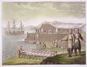 Fiskeindustrien, Newfoundland, fra 